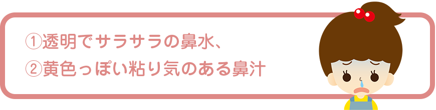 ①透明でサラサラの鼻水、②黄色っぽい粘り気のある鼻汁